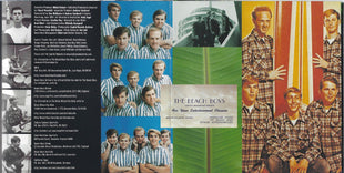 The Beach Boys : The Greatest Hits - Volume 2: 20 More Good Vibrations (CD, Comp, Mono)