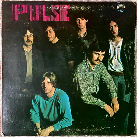 Pulse (20) : Pulse (LP, Album)