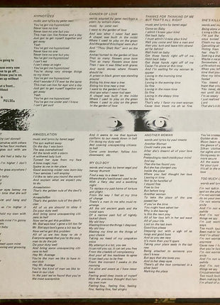 Pulse (20) : Pulse (LP, Album)