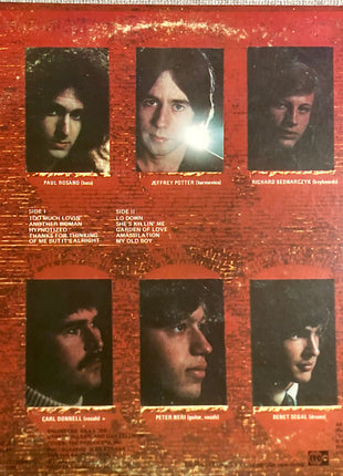 Pulse (20) : Pulse (LP, Album)