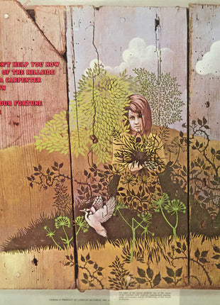 Chicken Shack : Imagination Lady (LP, Album, Gat)
