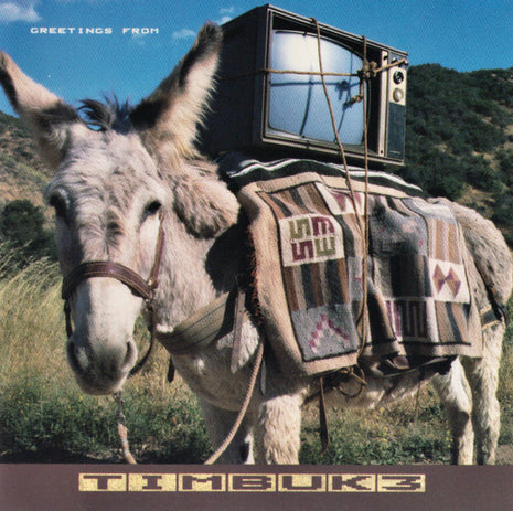 Timbuk 3 : Greetings From Timbuk 3 (CD, Album)