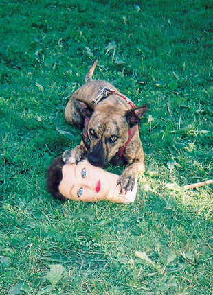 the album cover for Joyce Manor - Cody [Vinyl]