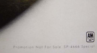 Nazareth (2) : Expect No Mercy (12", Promo, Smplr)