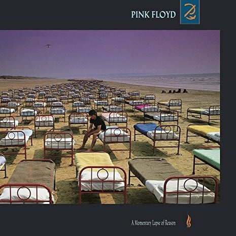 Pink Floyd - A Momentary Lapse Of Reason (Vinyl) (New (N))
