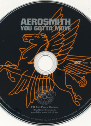 Aerosmith : You Gotta Move (DVD-V, NTSC + CD, MiniAlbum, Enh)