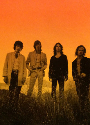 Various : Stoned Immaculate: The Music Of The Doors (CD, Album, Comp)