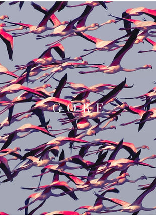 the album cover for Deftones - Gore