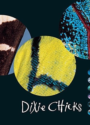 the album cover for The Chicks - Fly