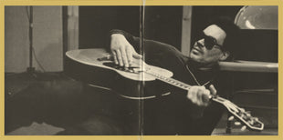 Louisiana Red : Midnight Rambler (2xLP, Album, Gat)