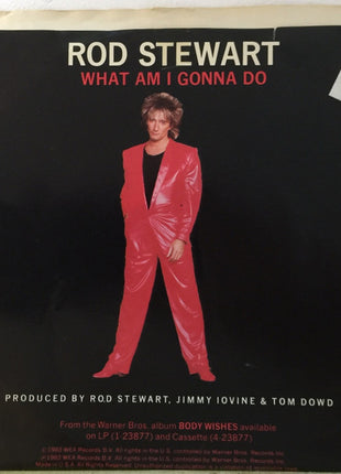 Rod Stewart : What Am I Gonna Do (7", Single)