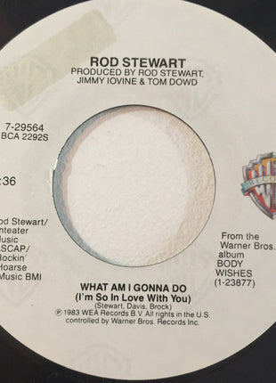 Rod Stewart : What Am I Gonna Do (7", Single)