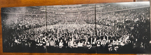Fall Out Boy : So Much For (2our) Dust: Live From Madison Square Garden (3xLP, RSD, Ltd, Whi)