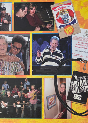 Brian Wilson : On Tour 1999-2007 (LP, Album, RSD)