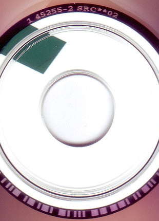 Paul Westerberg : 14 Songs (CD, Album)