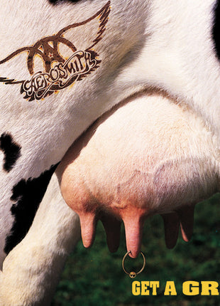Aerosmith : Get A Grip (CD, Album)