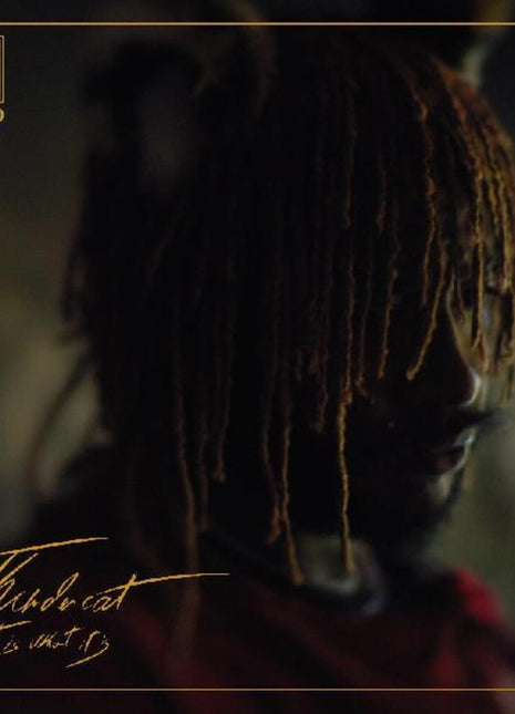 the album cover for Thundercat - It Is What It Is [Red LP]