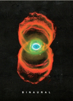 Pearl Jam : Binaural (CD, Album)