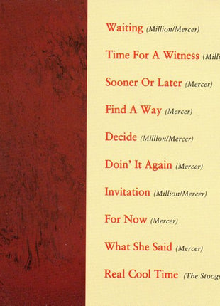 The Feelies : Time For A Witness (CD, Album)