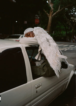 the album cover for Blood Orange - Negro Swan