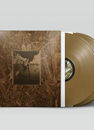 the album cover for Pixies - Come On Pilgrim... It's Surfer Rosa: 30th Anniversary Deluxe Edition [Bronze 3LP]