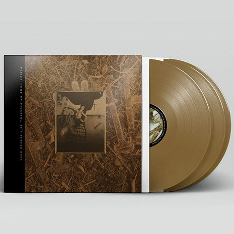 the album cover for Pixies - Come On Pilgrim... It's Surfer Rosa: 30th Anniversary Deluxe Edition [Bronze 3LP]
