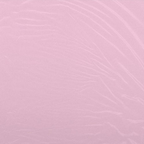 the album cover for Camron - Program [Clear Vinyl]