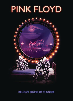 the album cover for Pink Floyd - Delicate Sound Of Thunder: Remastered [2CD]