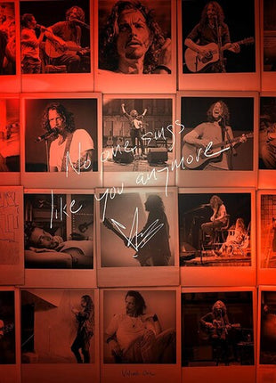 Chris Cornell - No One Sings Like You Anymore (Vinyl) (New (N))