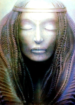 Emerson, Lake & Palmer : Brain Salad Surgery (LP, Album, Spe)