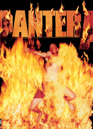 the album cover for Pantera - Reinventing The Steel [Indie Exclusive Limited Edition Marbled Yellow LP]