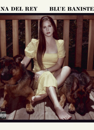 the album cover for Lana Del Rey - Blue Banisters