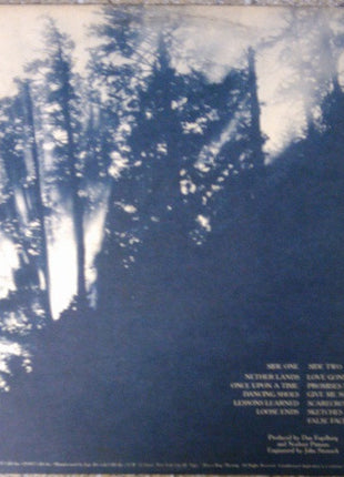 Dan Fogelberg : Nether Lands (LP, Album, Pit)