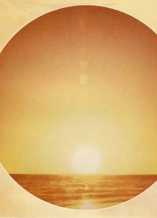 Kings Of Leon : Come Around Sundown (CD, Album)