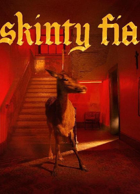 the album cover for Fontaines D.C. - Skinty Fia