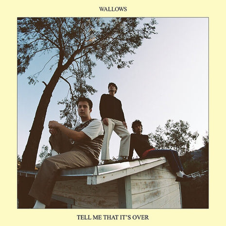 Wallows - Tell Me That It's Over (Vinyl) (New (N))