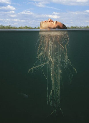 The Mars Volta - De-Loused In The Comatorium (Vinyl) (New (N))