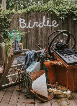 Slaughter Beach Dog - Birdie - Olive Green (Vinyl) (New (N))