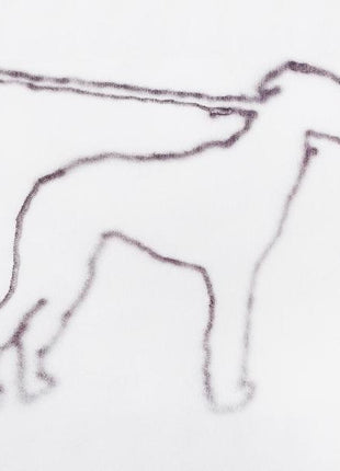 the album cover for Jonah Yano - Portrait Of A Dog