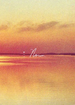 the album cover for Andy Shauf - Norm [LP]