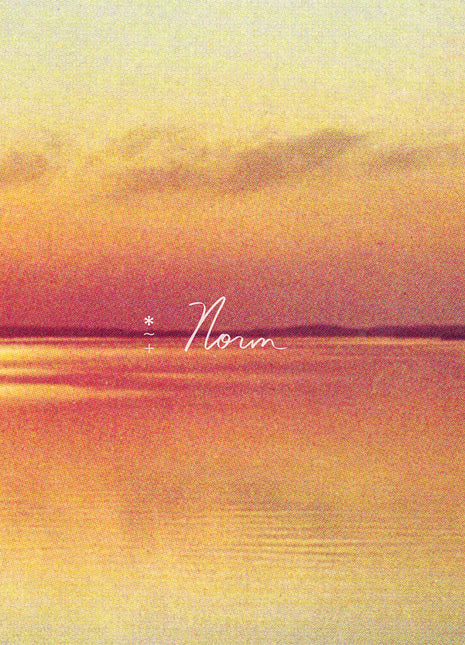 the album cover for Andy Shauf - Norm [LP]