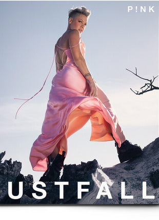 the album cover for P!NK - TRUSTFALL [LP]
