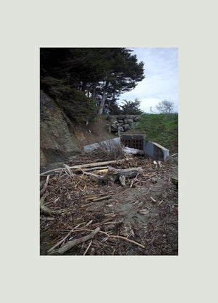 Mac DeMarco - Five Easy Hot Dogs (Vinyl) (New (N))