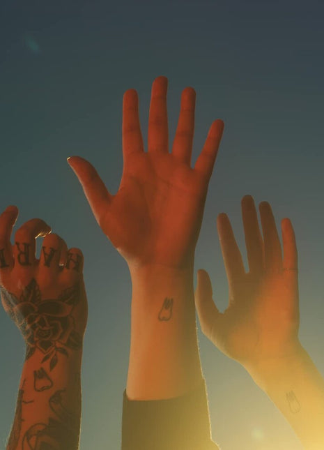 the album cover for boygenius - the record [Indie Exclusive Limited Edition Clear LP]