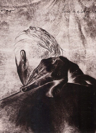the album cover for Low Roar - Once in a Long, Long While