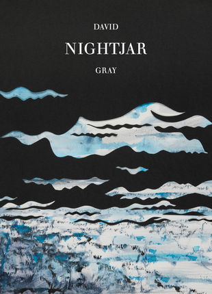 the album cover for David Gray - Nightjar