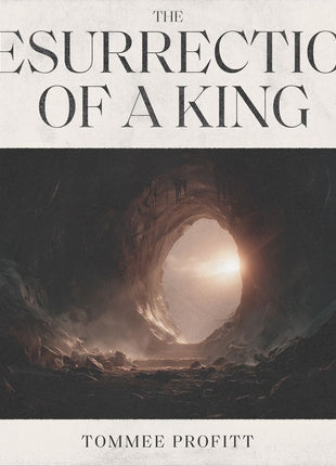 the album cover for Tommee Profitt - Resurrection Of A King [Colored Vinyl]