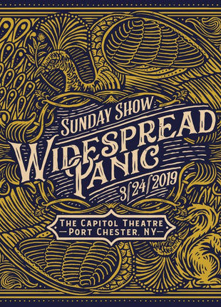 the album cover for Widespread Panic - Sunday Show [Indie Exclusive Colored Vinyl Box] (Reissue)