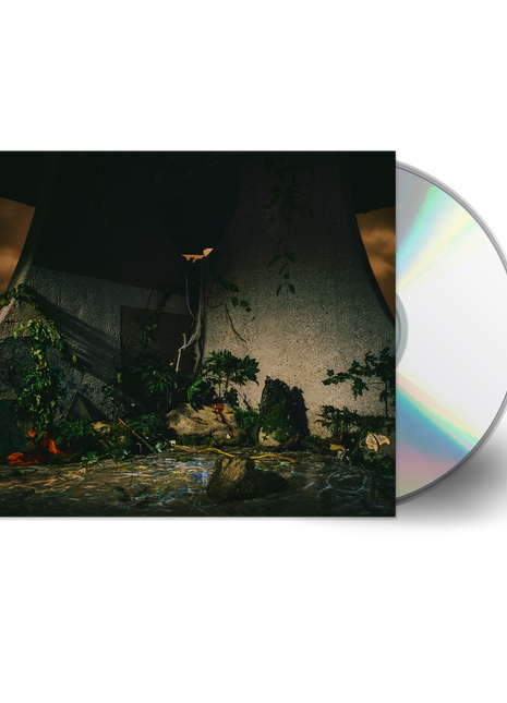 the album cover for The Plot In You - The Plot In You