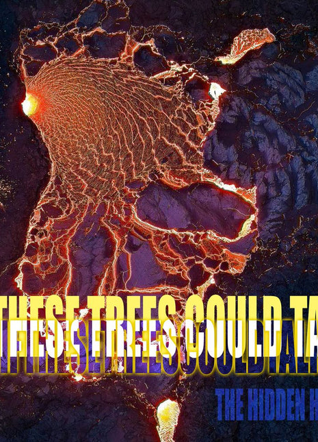 the album cover for If These Trees Could Talk - The Hidden Hand